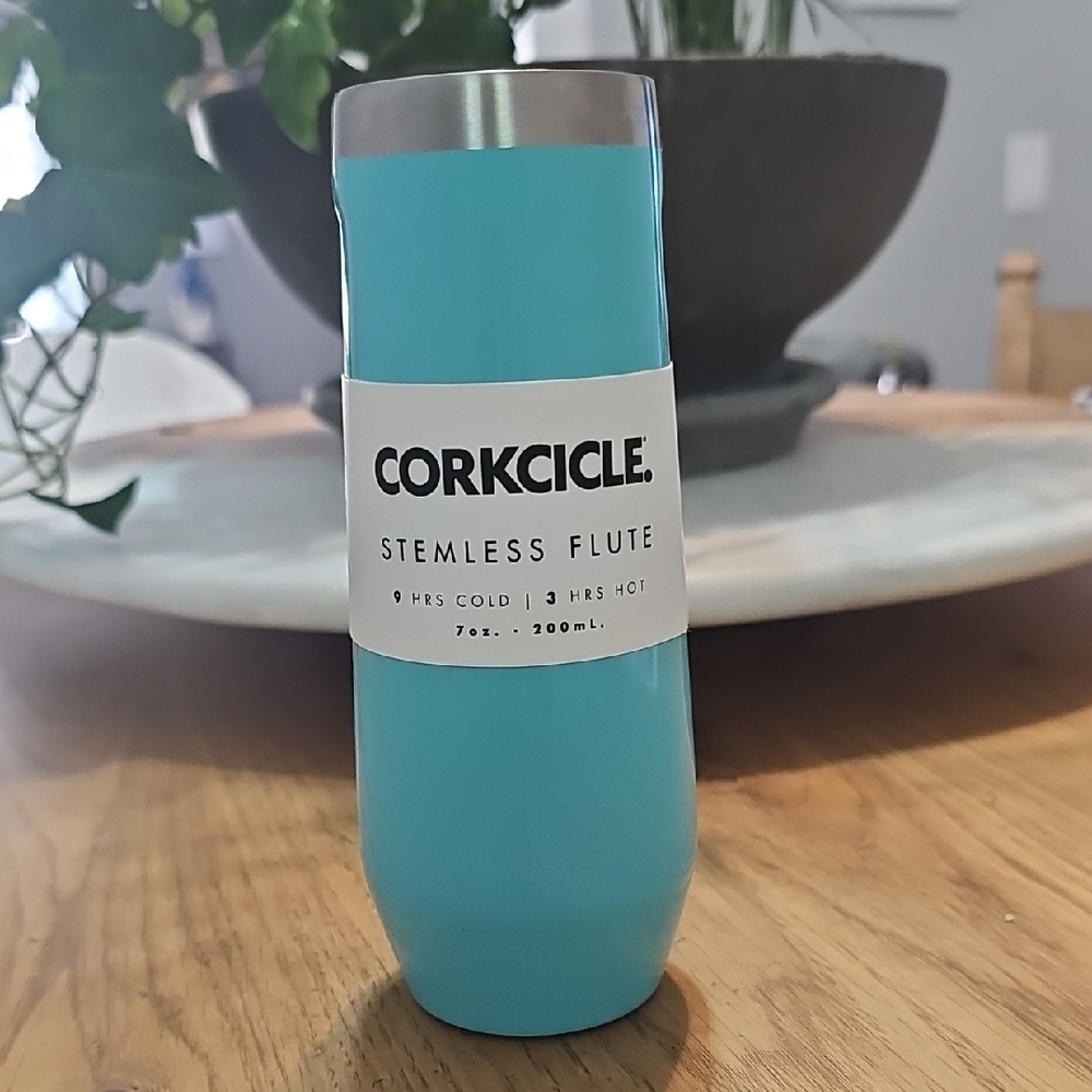 Corkcicle Champagne Flute